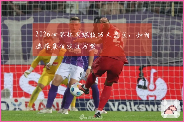 2026世界杯买球技巧大盘点，如何选择最佳投注方案