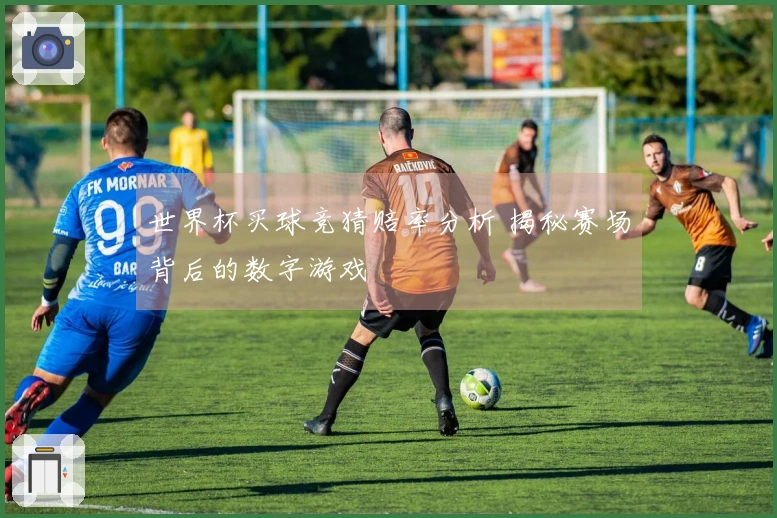 世界杯买球竞猜赔率分析 揭秘赛场背后的数字游戏