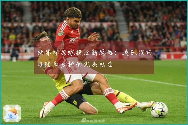 世界杯买球投注新思路：选队技巧与赔率分析的完美结合