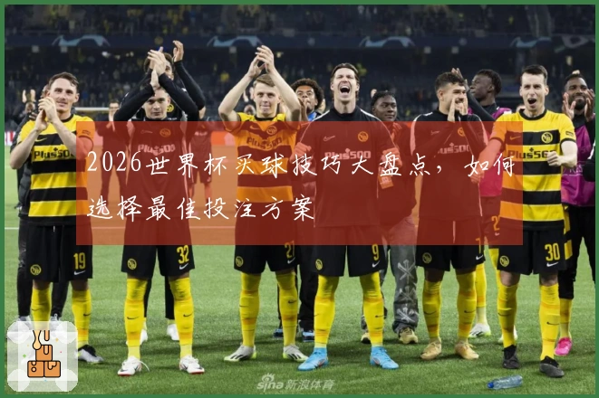 2026世界杯买球技巧大盘点，如何选择最佳投注方案