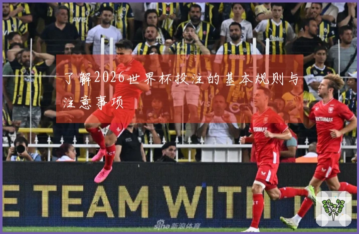 了解2026世界杯投注的基本规则与注意事项