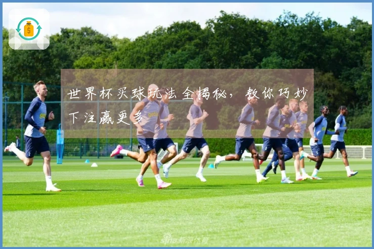 世界杯买球玩法全揭秘，教你巧妙下注赢更多