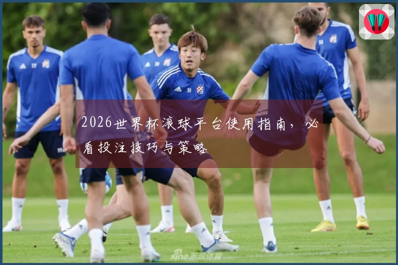 2026世界杯滚球平台使用指南，必看投注技巧与策略