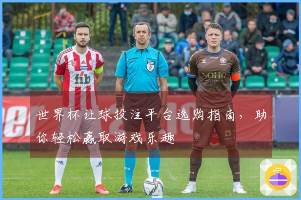 世界杯让球投注平台选购指南，助你轻松赢取游戏乐趣